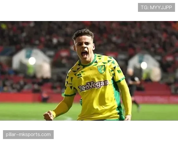 诺维奇财政压力加剧，俱乐部积极探索新策略应对经济挑战