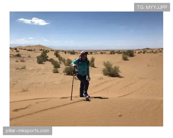 范加尔重返足坛,执掌荷兰国家队的挑战与重塑之路分析 范加尔重返足坛,执掌荷兰国家队的挑战与重塑之路分析